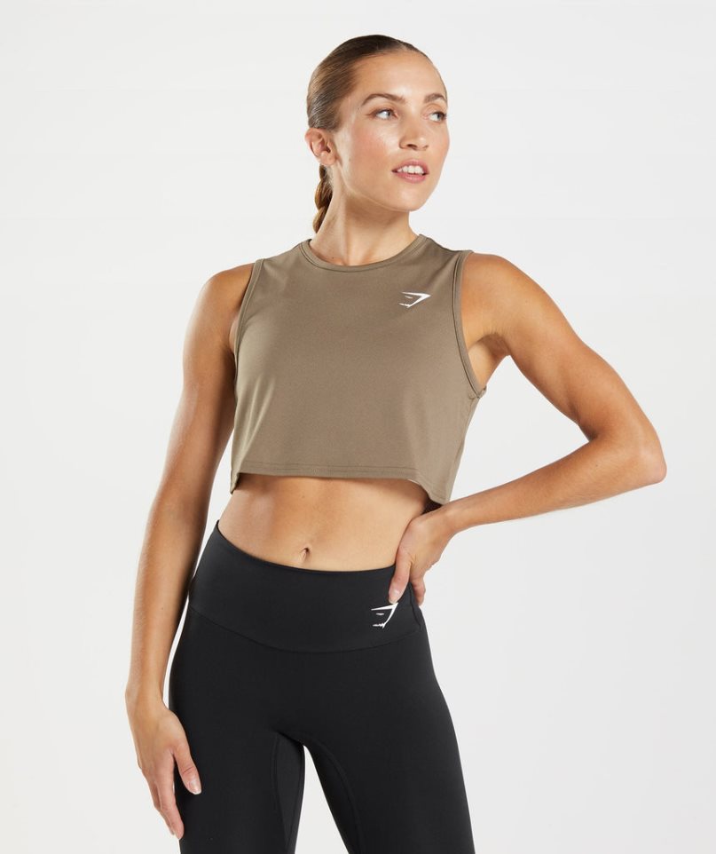 Podkoszulki Gymshark Treningowe Crop Damskie Brązowe | PL 417FGT